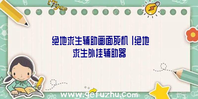 「绝地求生辅助画面死机」|绝地求生外挂辅助器